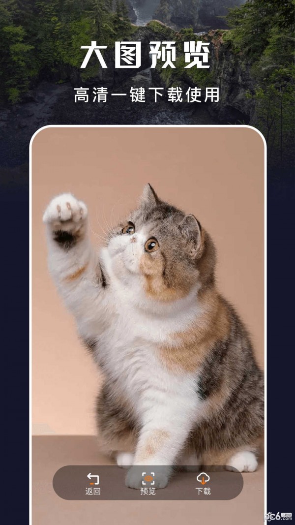 主题盒安卓仿苹果截图2