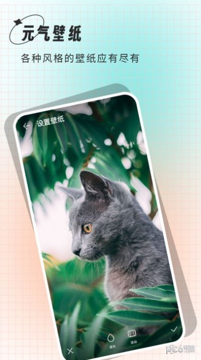 小鲸鱼壁纸截图3