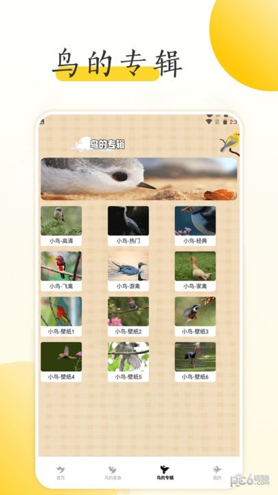 小鸟壁纸大全截图1