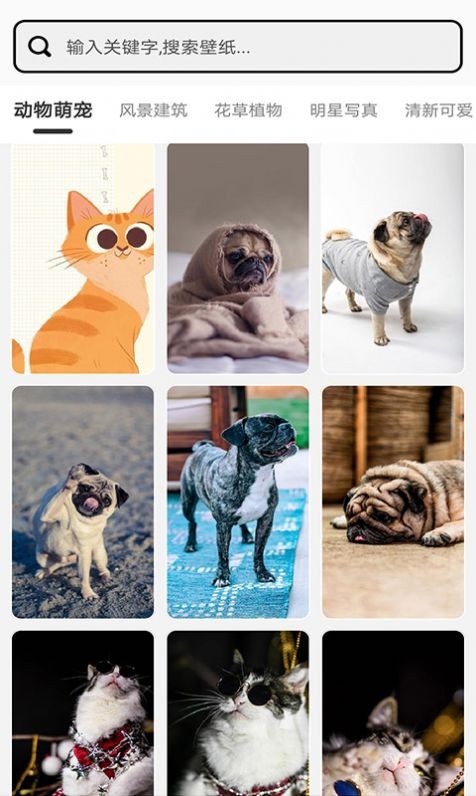 元气小组件截图2