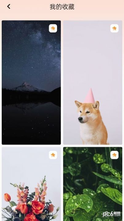 天天换壁纸截图0