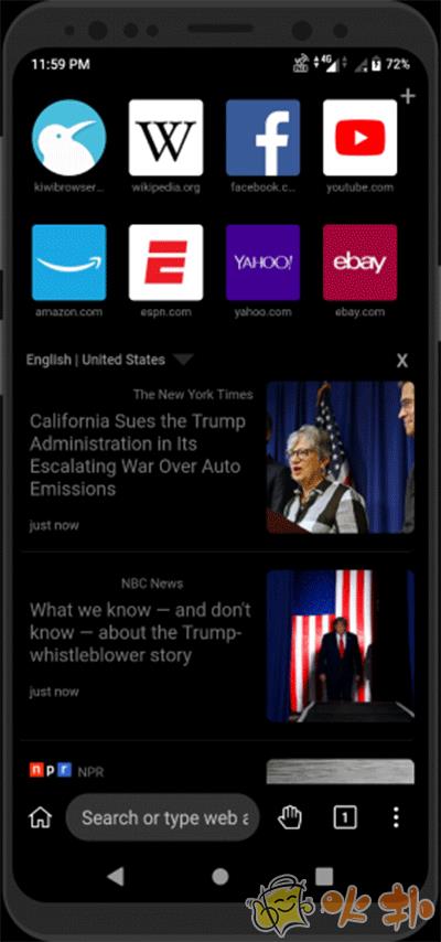 kiwi浏览器截图0