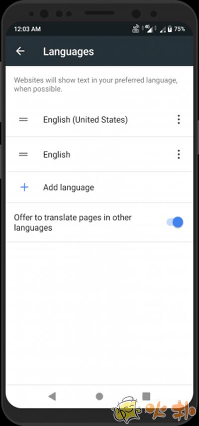kiwi浏览器截图4