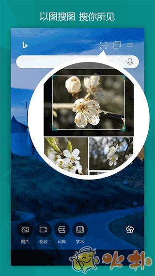 微软bing国际版app截图3