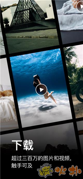 pexels免费素材网截图2
