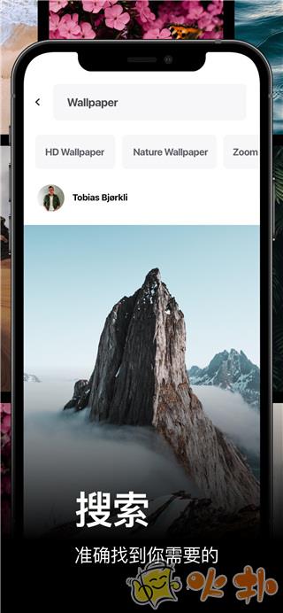 pexels免费素材网截图3