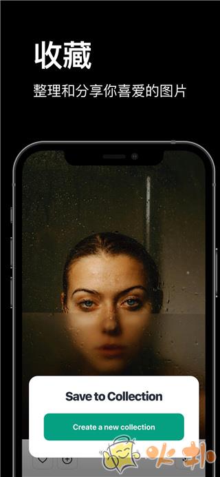 pexels免费素材网截图4