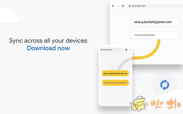Chrome浏览器截图4