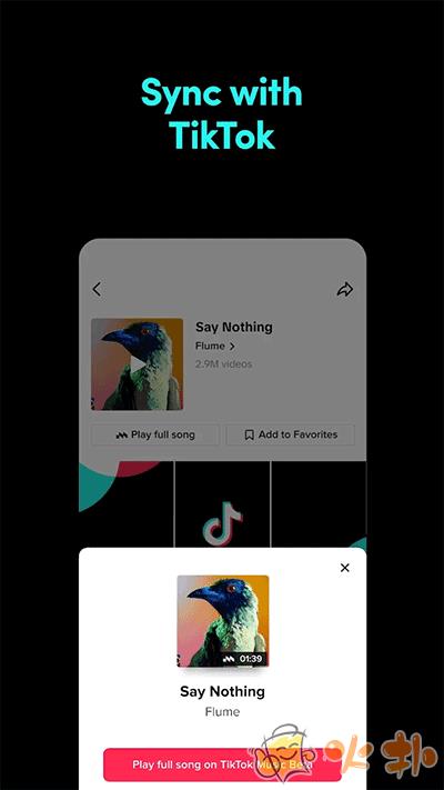 TikTok Music截图0