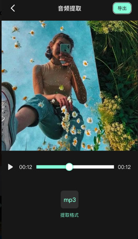 小狐狸剪辑软件（Motionleap）截图2