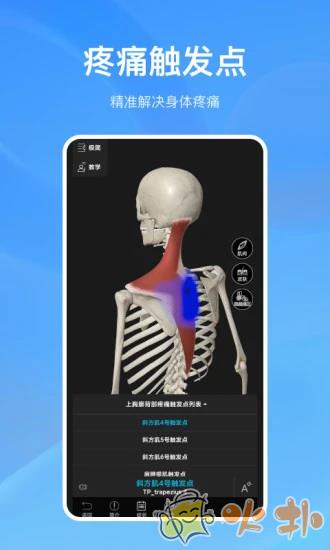 解剖大师app截图3