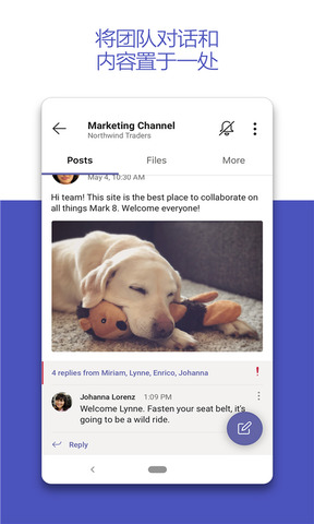teams官方版截图3