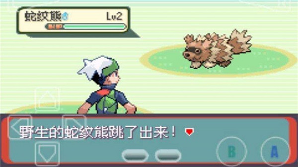 口袋妖怪绿宝石手机版截图2