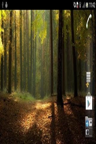 森林动态壁纸截图0