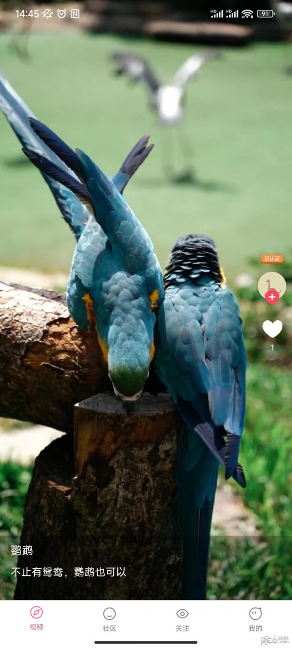 兰莓短视频截图2