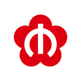 与宁同行