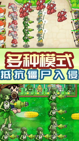 植物进化打僵尸截图1