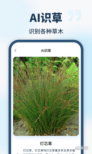 手机AI智能助手截图3