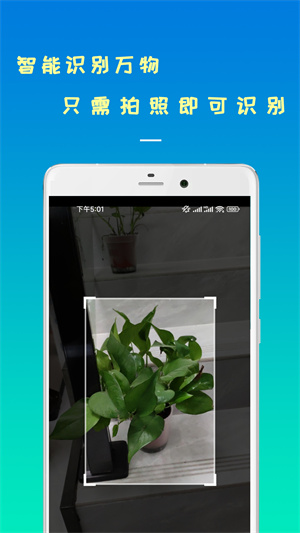 智能识物截图1