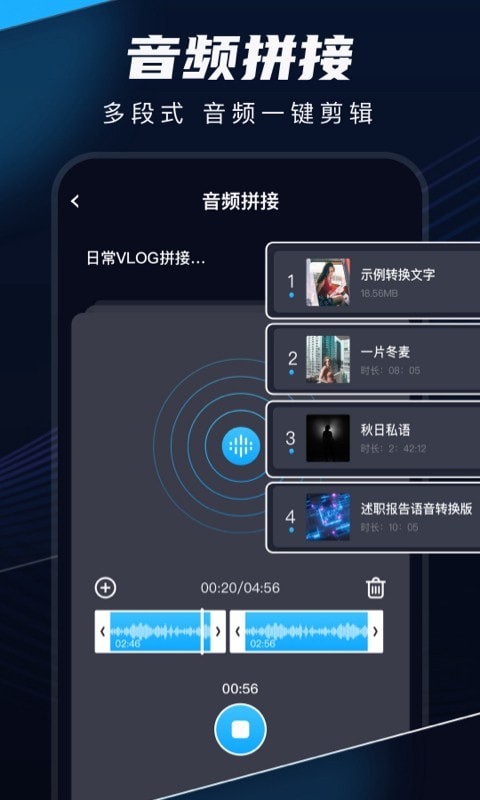随声录截图1