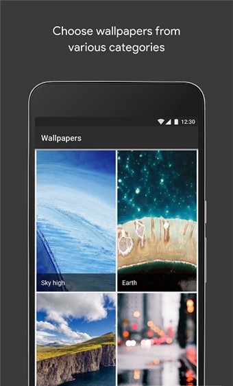 样式和壁纸截图1