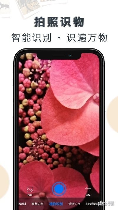 豆拍拍照识物截图1
