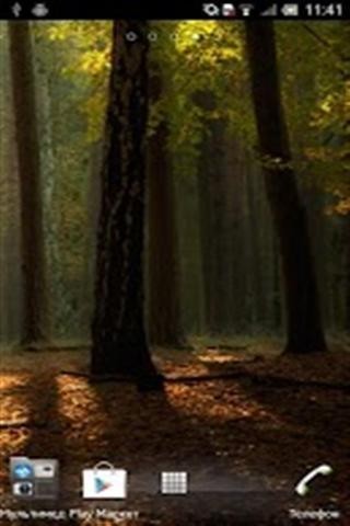 森林动态壁纸截图1