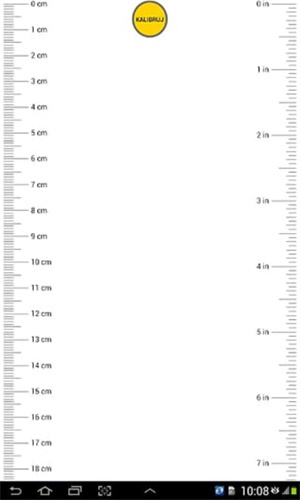 手机尺子截图3