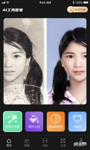 AI工具管家截图2