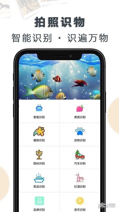 豆拍拍照识物截图3