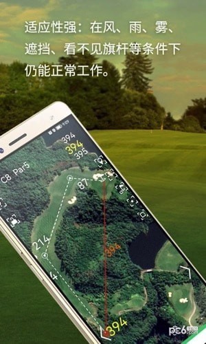 泛美高尔夫截图1