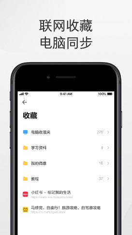 极速浏览器截图3