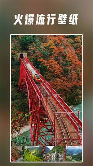 小风车壁纸手机版截图2