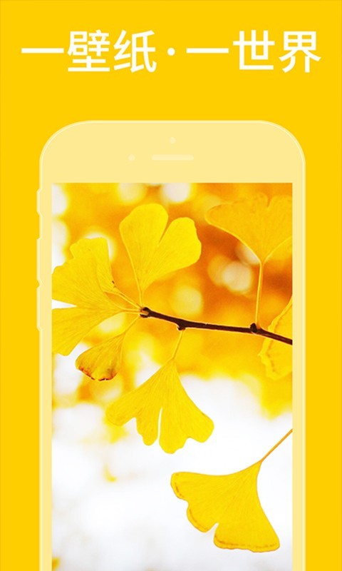 动态壁纸大全截图2