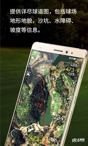 泛美高尔夫截图0