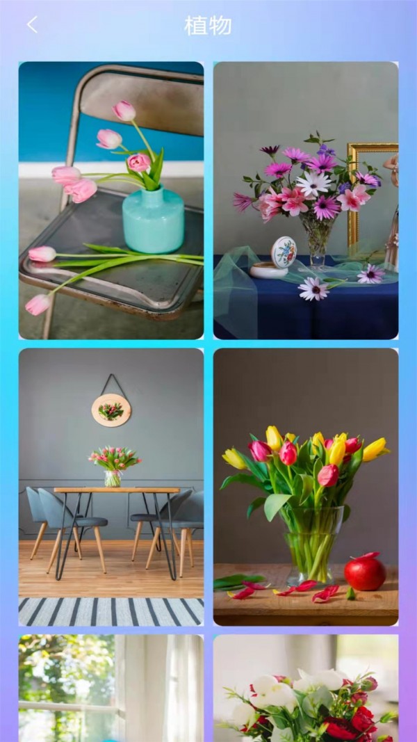 桌面壁纸秀截图2