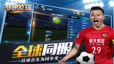 梦想足球截图0