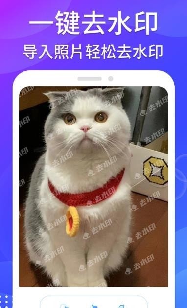 哈屏去水印截图1