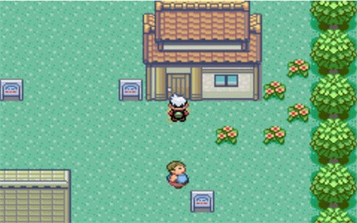 口袋妖怪刽曜之影0.27截图1