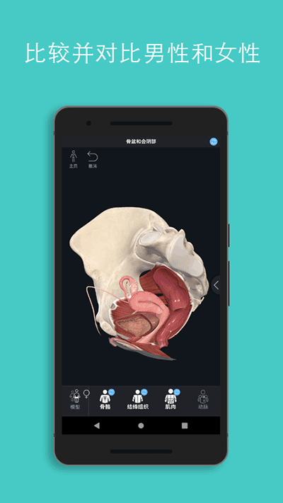 Complete Anatomy官方版截图3