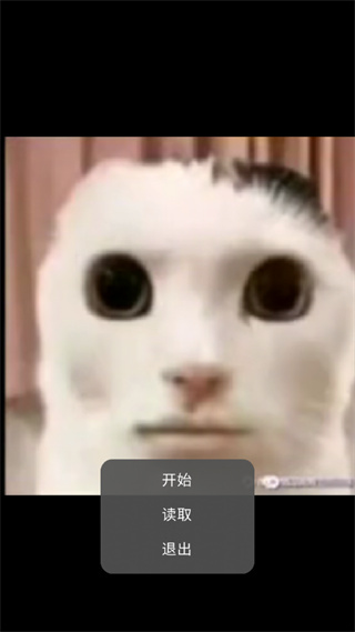 猫猫惊魂截图2