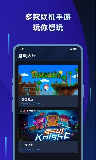 蒲公英联机平台app截图0