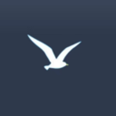 海鸥加速器官方app