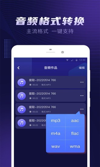 视频音乐提取器截图3