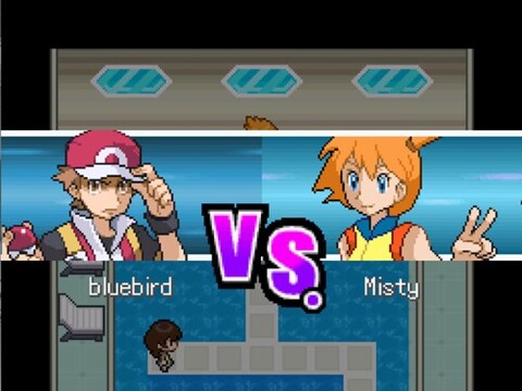 宝可梦无限融合中文版截图2