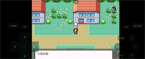 口袋妖怪燃之智截图0