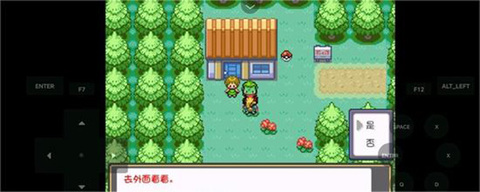 口袋妖怪燃之智截图1