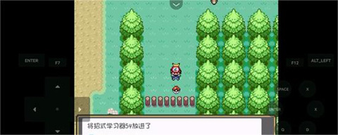 口袋妖怪燃之智截图2