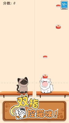 猫咪二重奏截图0