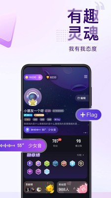 Flag截图4